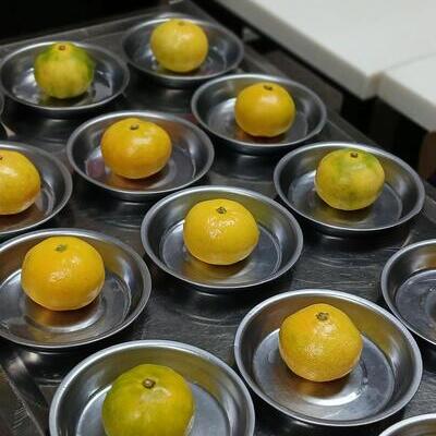 🍊어르신들과 함께한 달콤한 오후, "귤" 간식 시간