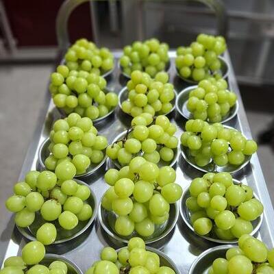 🍇 오후 간식 – 달콤한 샤인머스켓